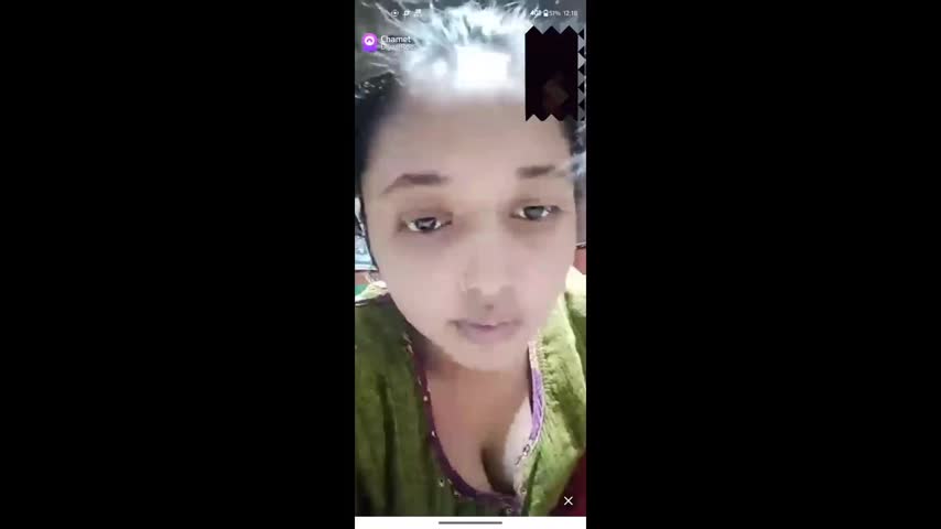 Myd chamet mb collection 1812025 -24